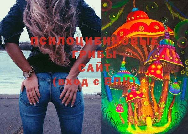 крисы Нязепетровск