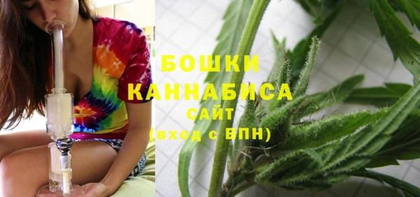 PSILOCYBIN Алзамай